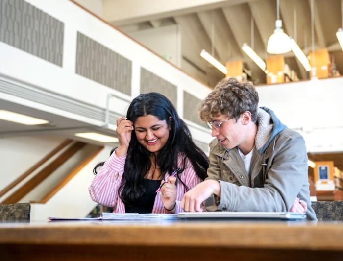 Students studying together in the library